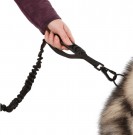 TRESPAWS ZATHENA HUNDE KOBEL thumbnail