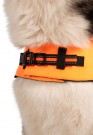 TRESPAWS SURFDOG Flytevest thumbnail