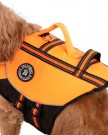 TRESPAWS SURFDOG Flytevest thumbnail