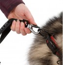 TRESPAWS ZATHENA HUNDE KOBEL thumbnail