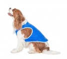 TRESPAWS ALASKA - Kjølevest for hund thumbnail