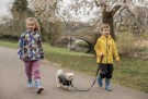 TRESPAWS HUNDKOPPEL BUSTER SVART thumbnail